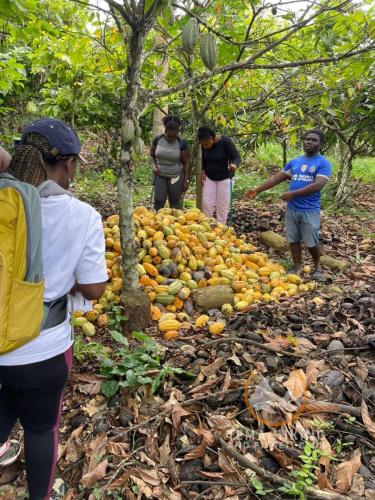 thfc fun and fitness time at the bunso ecopark (189)