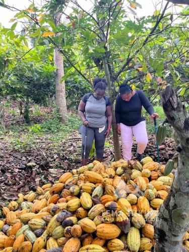 thfc fun and fitness time at the bunso ecopark (206)