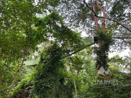 thfc fun and fitness time at the bunso ecopark (235)