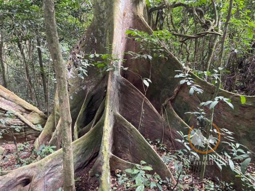 thfc fun and fitness time at the bunso ecopark (238)