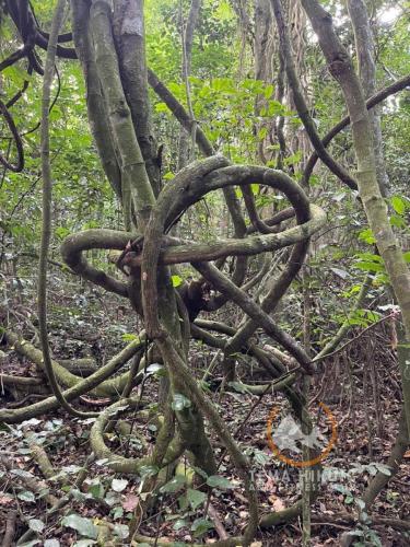 thfc fun and fitness time at the bunso ecopark (239)